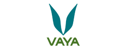 Vaya